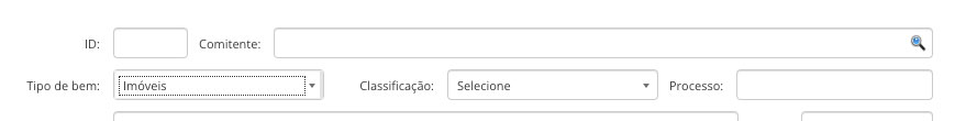 Seleção do Comitente e Tipo de Bem