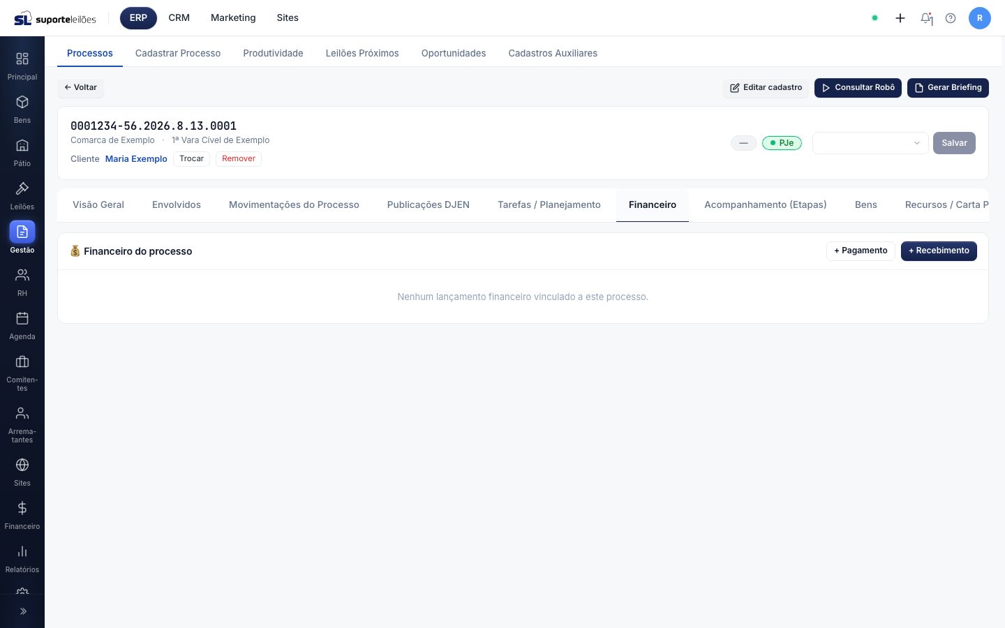 Aba Financeiro do processo
